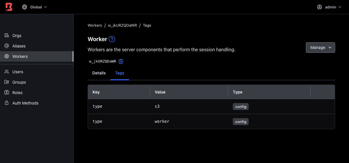 Worker Config Tags in Boundary Admin UI